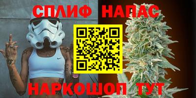 СК Краснознаменск