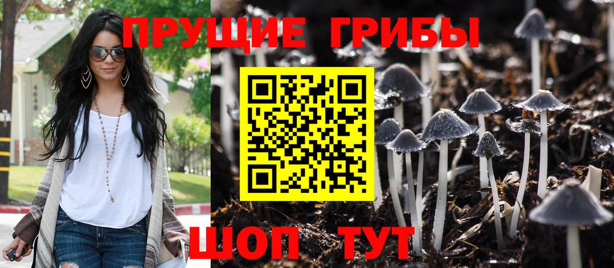 Коряжма  Псилоцибиновые грибы ЛСД  Псилоцибиновые грибы мухоморы  Вход с VPN 