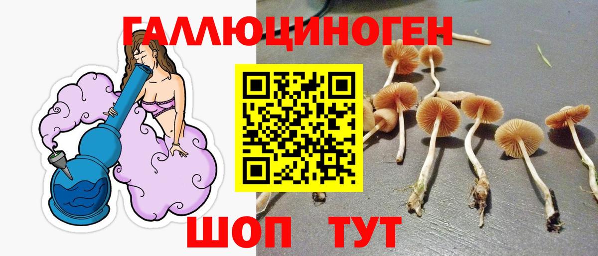 Галлюциногенные грибы мицелий Коряжма